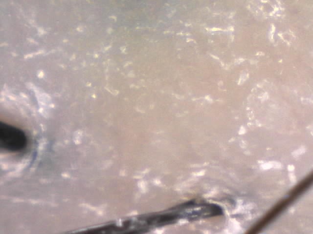 150119-QA017-02