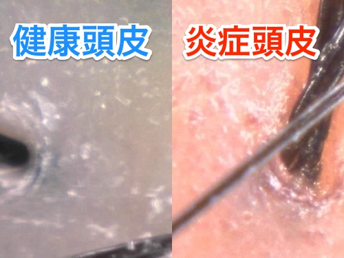 151215-QA030-FB-touhishindan2015